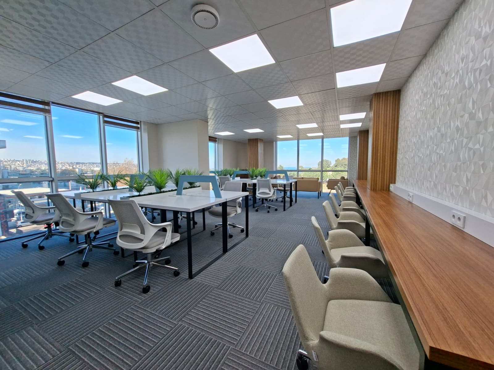 whatsapp-image-2025-12-24-at-170650