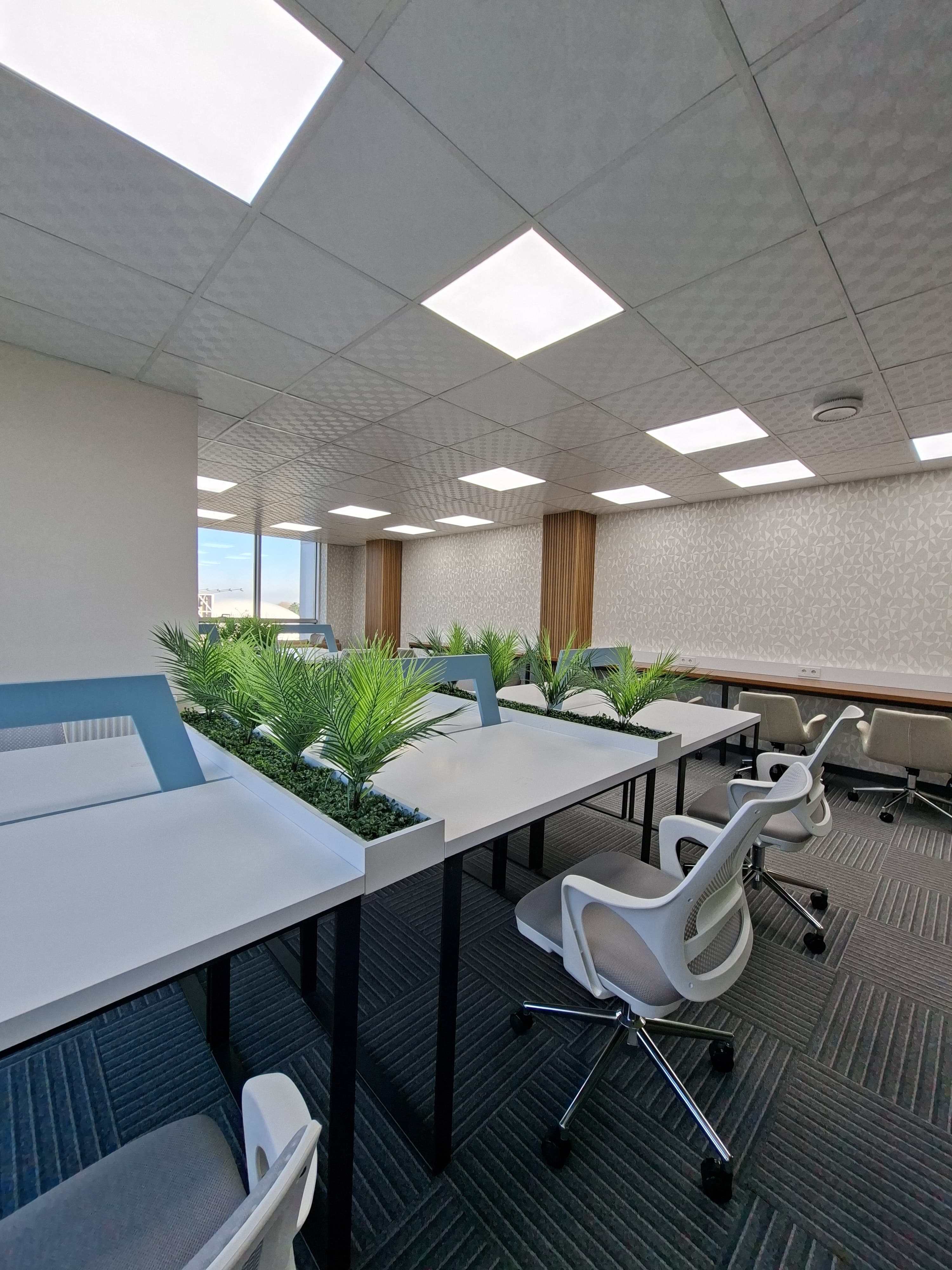 whatsapp-image-2025-12-24-at-170745